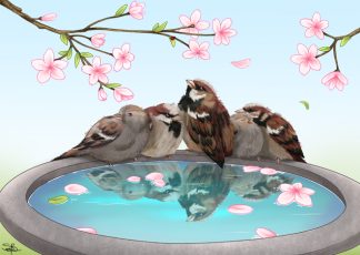 *Sparrow Snuggles DE-SPRRW*