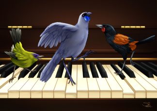 *Bird Bach MU-BIRDBACH*